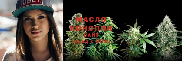 шишки Богородицк