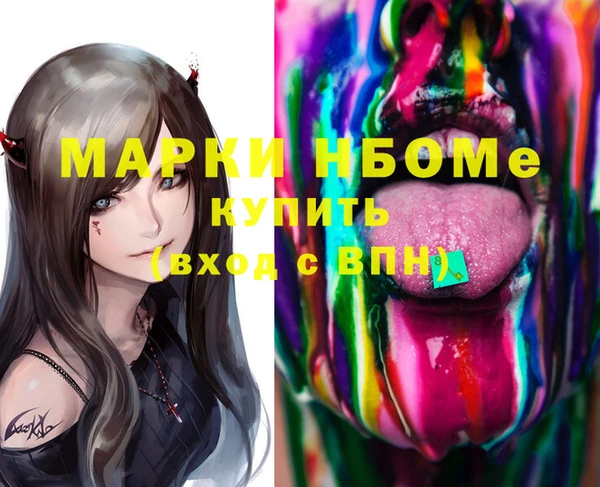 шишки Богородицк