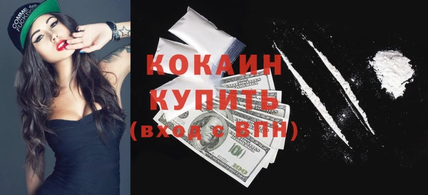 шишки Богородицк