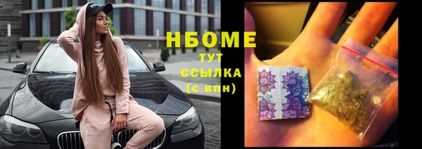 шишки Богородицк