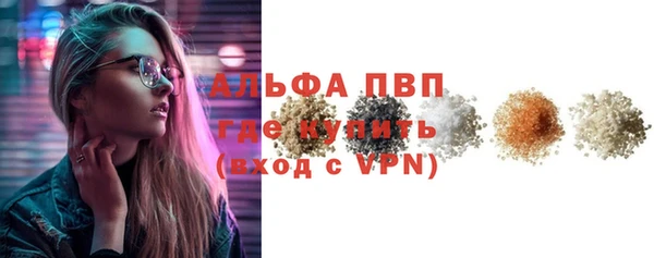 сатива Богданович