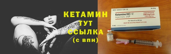 сатива Богданович