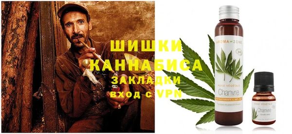 шишки Богородицк