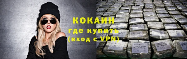 шишки Богородицк