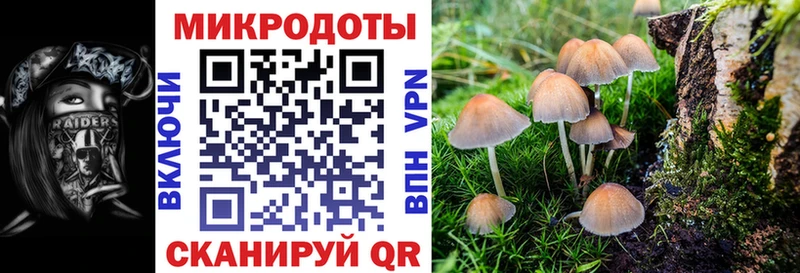 дарнет шоп  Йошкар-Ола  Псилоцибиновые грибы Psilocybe 